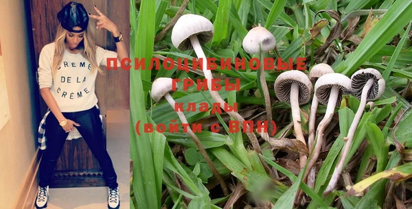 mix Вяземский