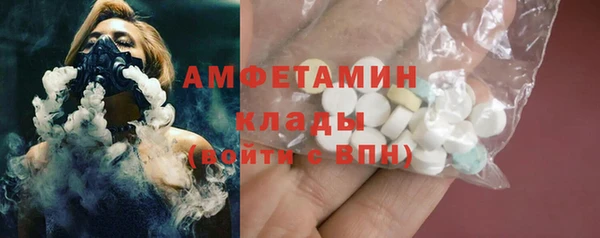 крисы Горняк