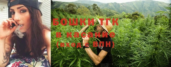 прущие крисы Вязьма