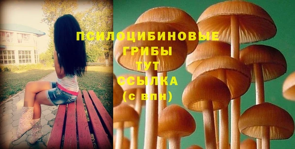 mix Вяземский