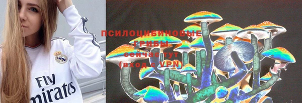 mix Вяземский
