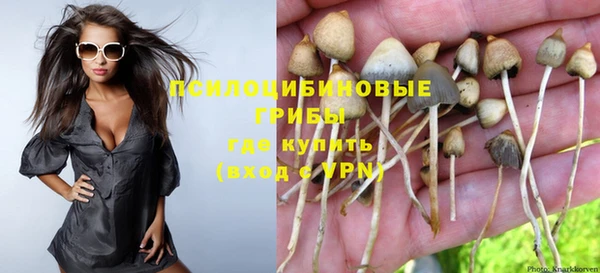 мет Пересвет
