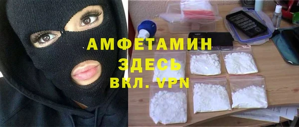 крисы Горняк