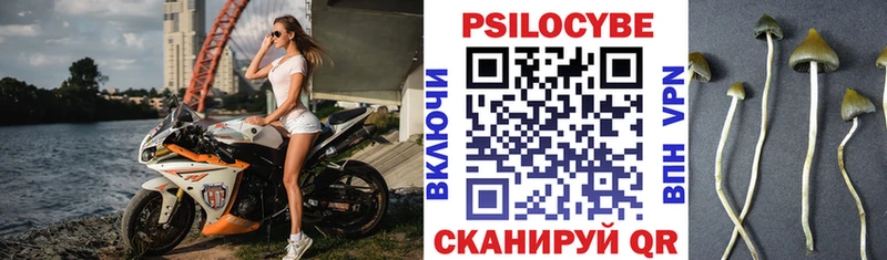 Псилоцибиновые грибы GOLDEN TEACHER  Купить где  Любань 